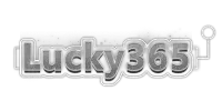 Partner 28